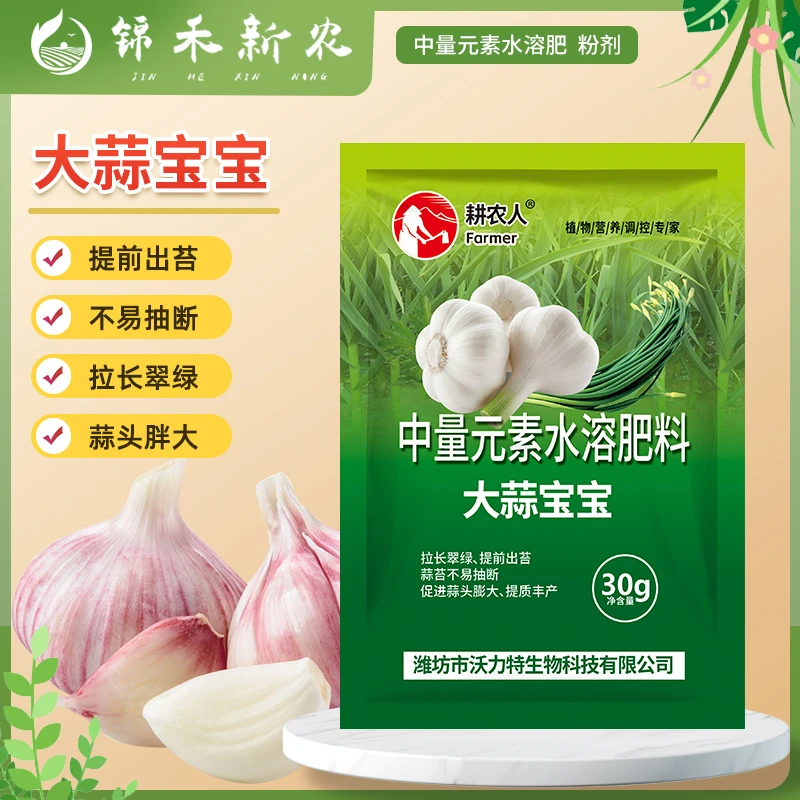 大蒜宝宝抽苔返青促长出苔齐防干尖黄叶膨大蒜头大生根壮苗水溶肥
