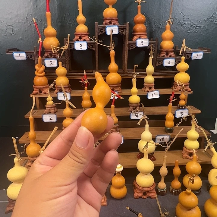 H***Z有机玻璃蚂蚁蚂蚁蚂蚁蚂蚁