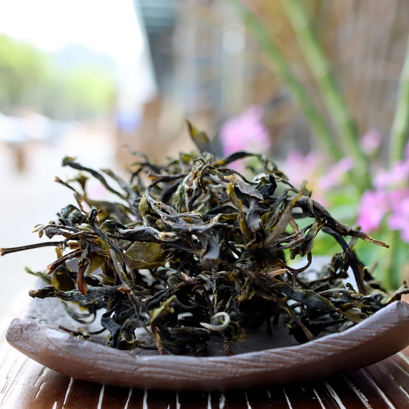 2025年 邦崴过渡型挂牌古树单株