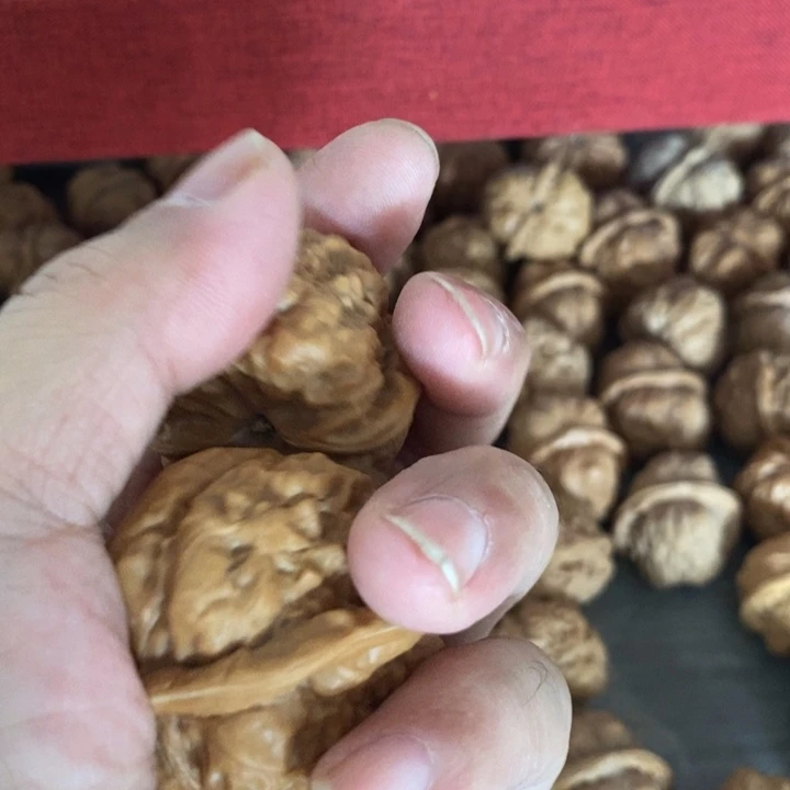 王***敏把件文玩核桃哈哈哈