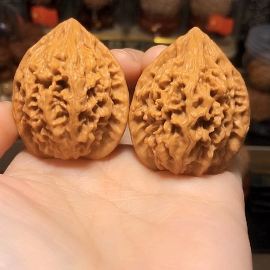 福利：野生小众秦鸡