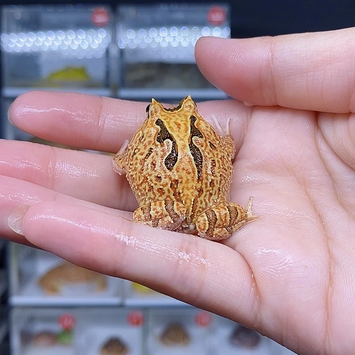特价秒杀现货特价残
