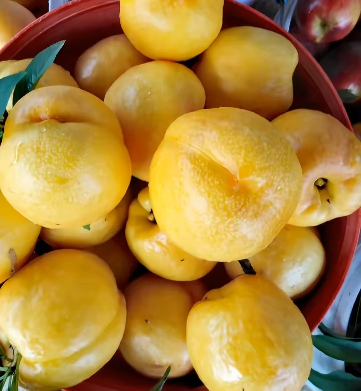 顺丰包邮，黄金油桃，自家果园，现摘现发，口感超好！