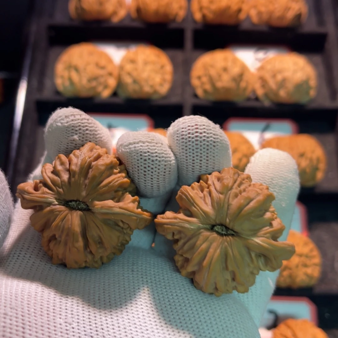 Z****利秦皇岛山地果全品03