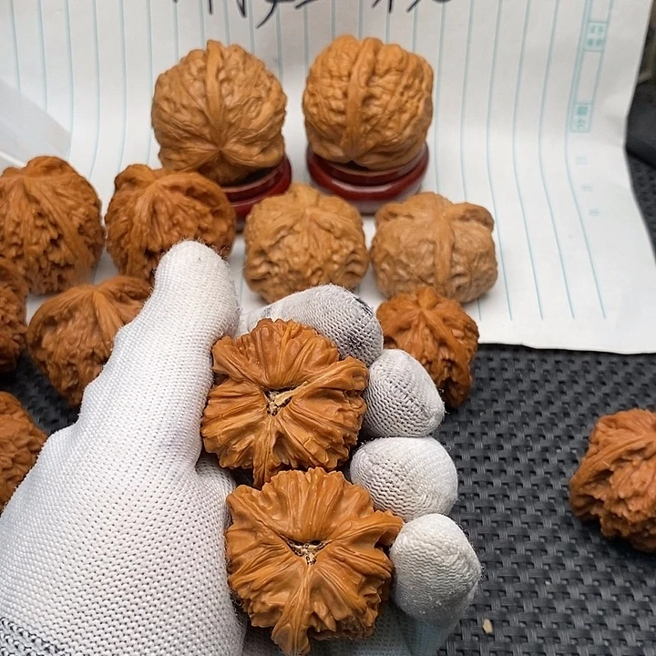 核桃手串/手链拼接白狮雨18