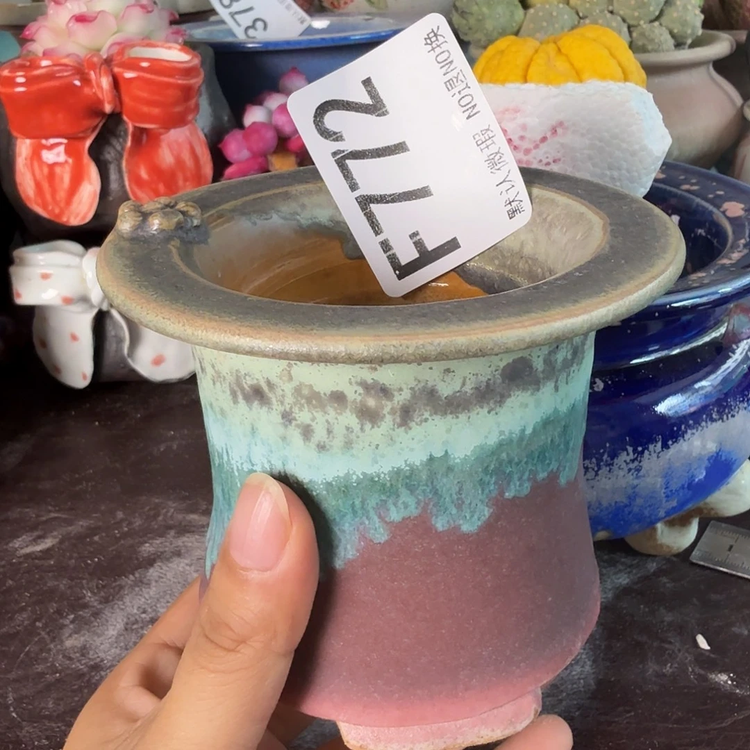 重庆小燕子欢迎大家，772
