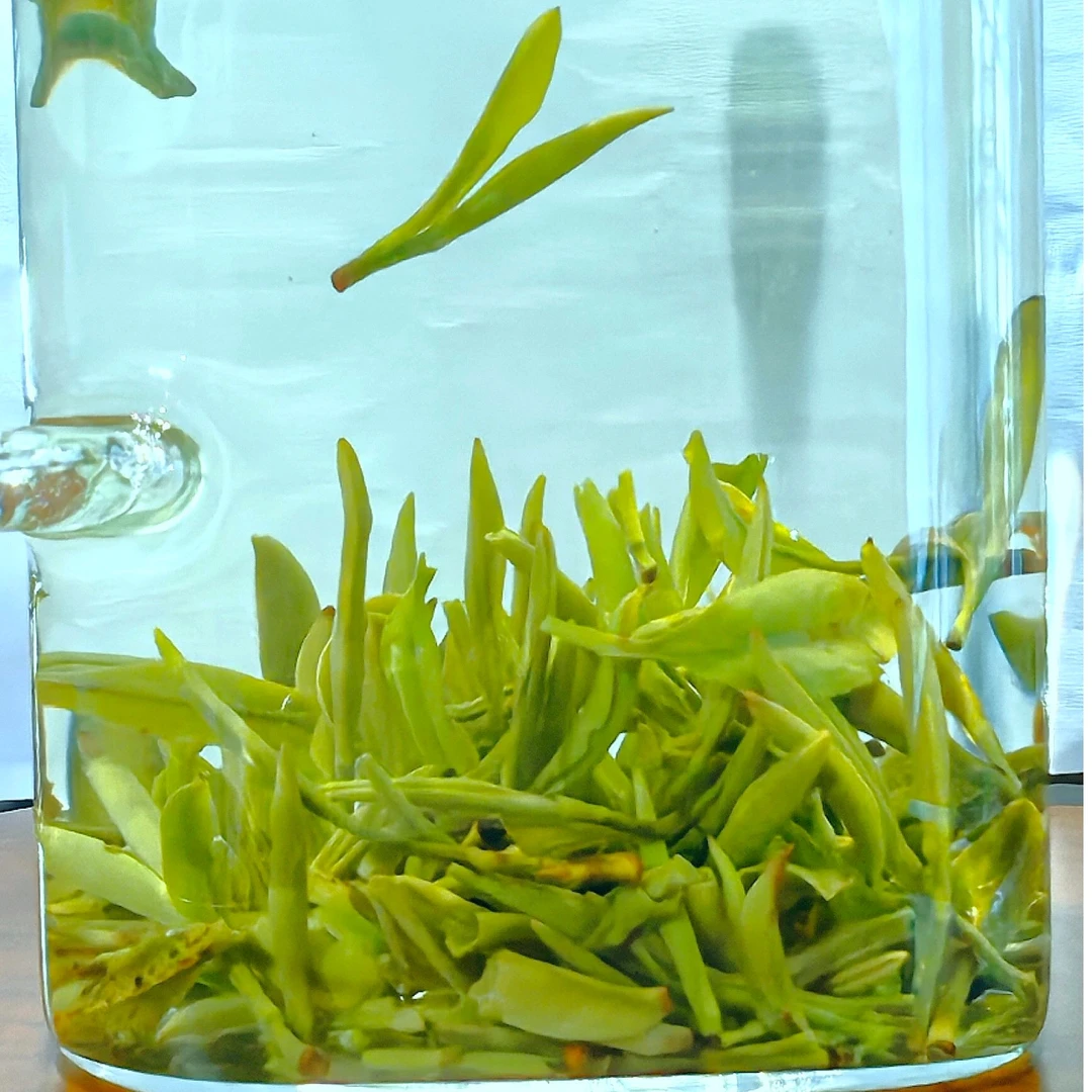 优先太湖茶雨前谷尖天华谷尖小兰花茶叶正味兰花香鲜爽回甘