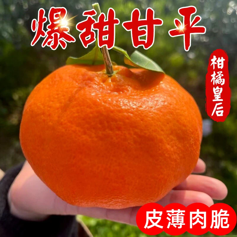 【柑橘皇后】正宗四川甘平新鲜高端水果 皮薄肉脆 爆甜多汁 个大
