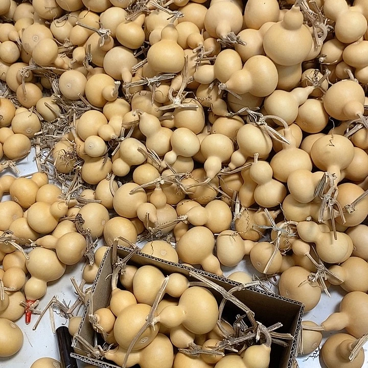 吉**林挑选葫芦20个链接