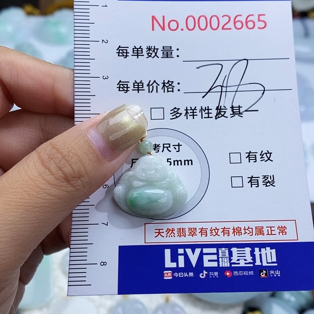 翡翠未镶嵌颈饰2665