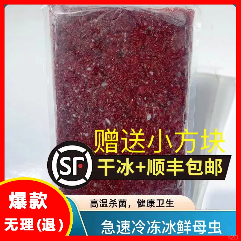 厂家直发冰鲜大号小号母虫冻板鱼饲料速冻鱼苗通用饲料