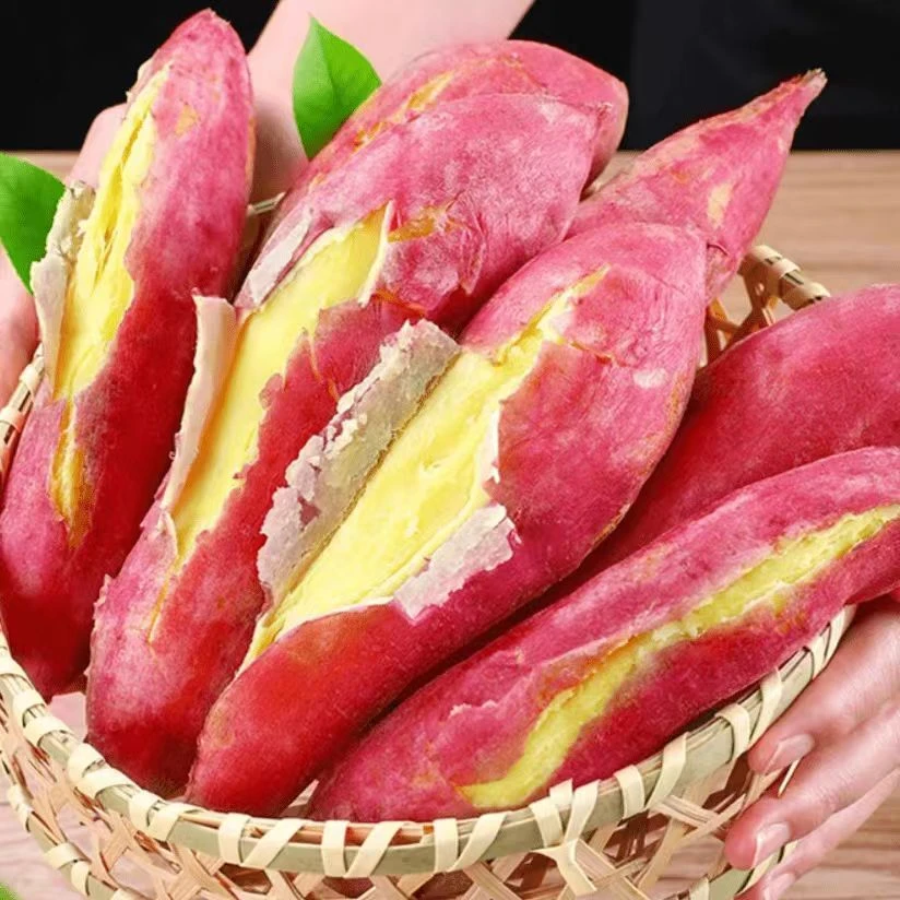 陕西红薯现挖沙地粉糯甘甜干面新鲜蜜薯粗粮代餐