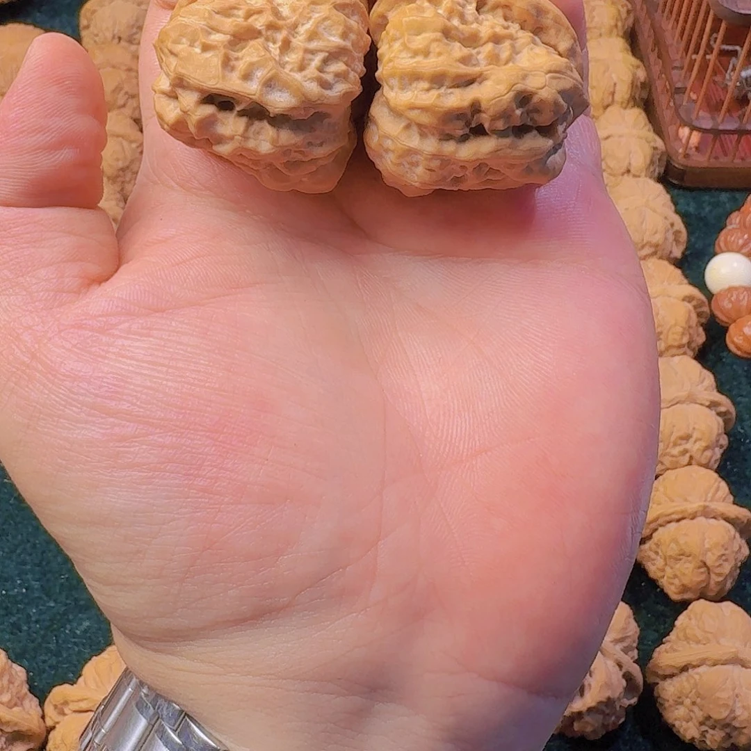 L***a怀柔稀有高桩三角蛙