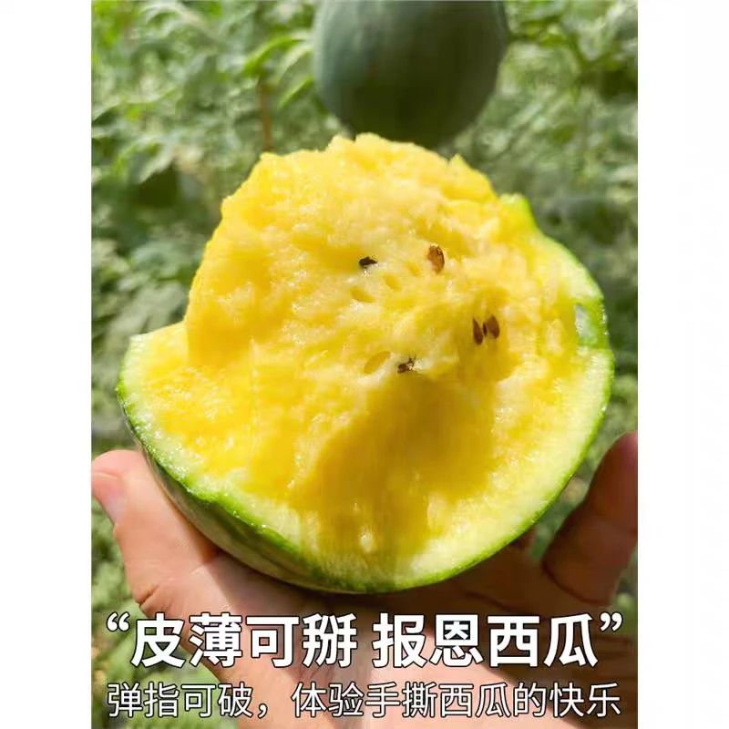 【爆甜多汁不甜包退】冰淇淋西瓜手剥西瓜一件12斤/14斤江苏省