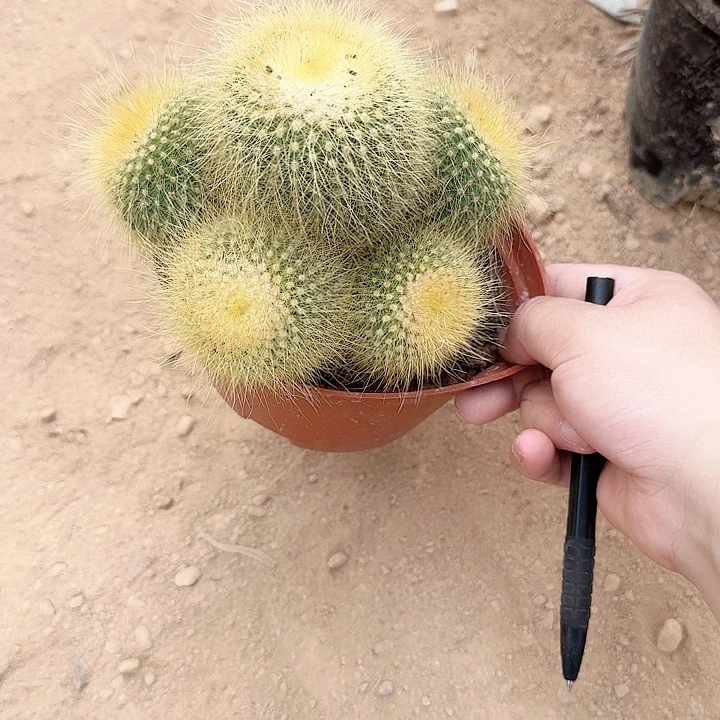 过***下哈哈哈哈哈哈哈哈哈