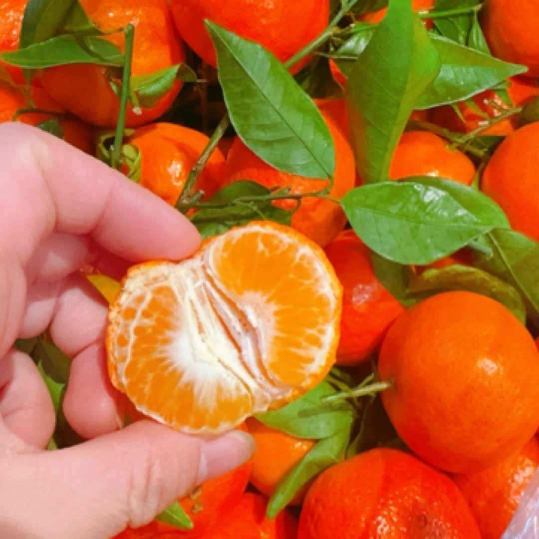 广西超甜砂糖橘（2斤）黑龙江省
