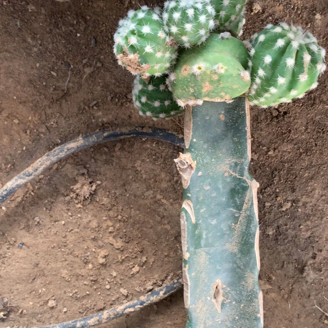 用***01棵兜美美美美美美