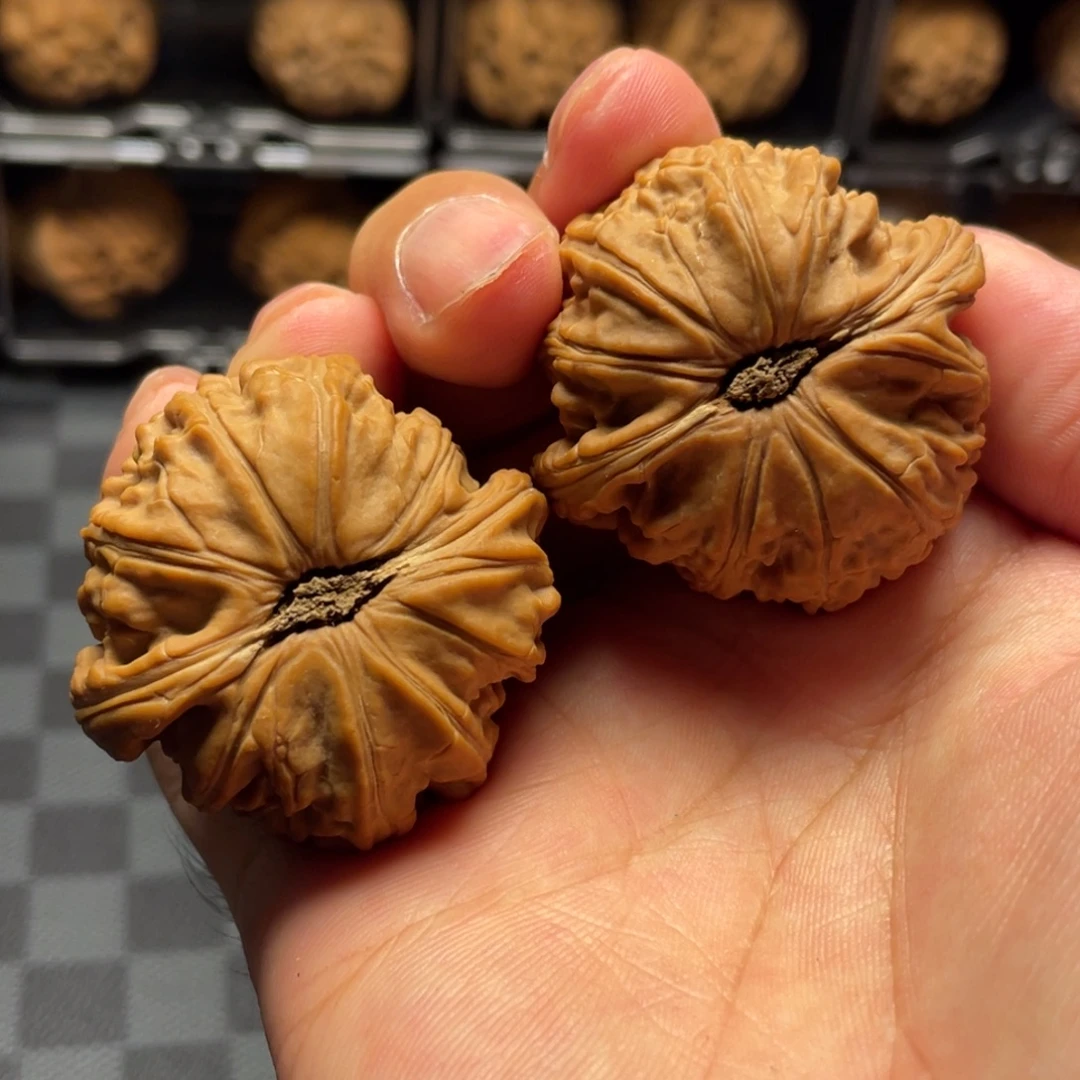 蜜***蜜吊坠文玩核桃白狮子