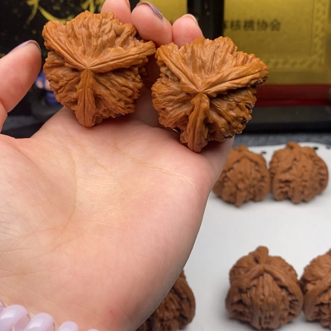 豫*展白狮子11111111