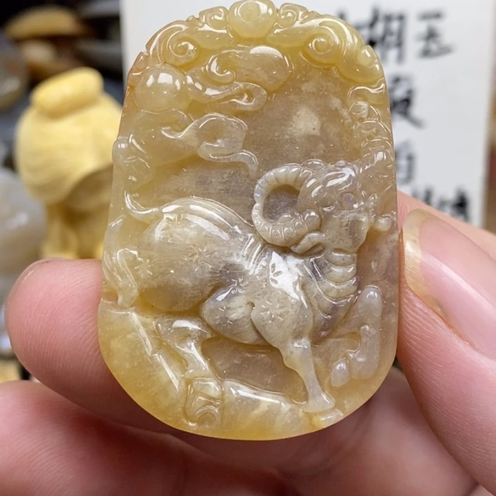 硅化珊瑚（珊瑚玉）未镶嵌颈饰