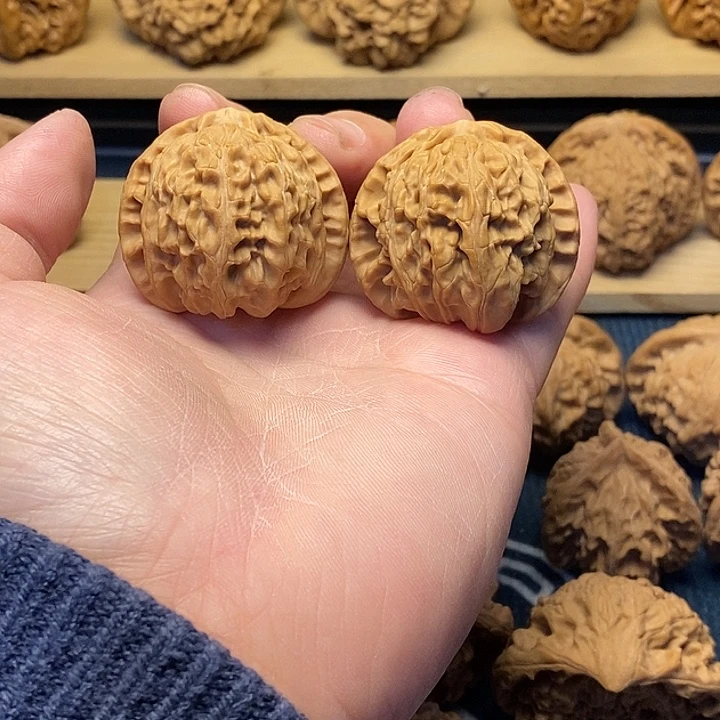 核桃文玩核桃白狮子
