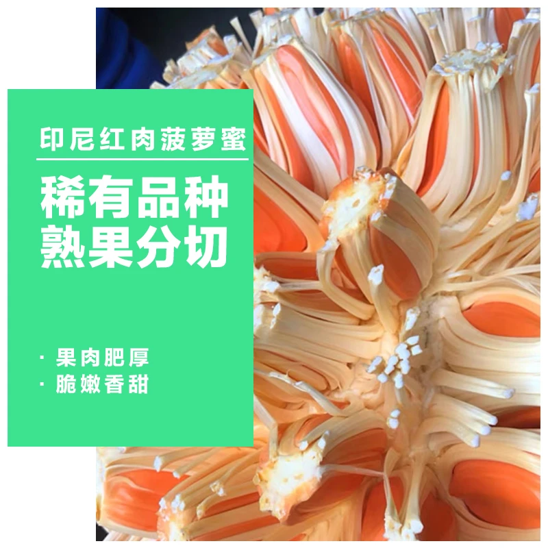 只发川渝&越南印泥红直播开果称重红肉菠萝蜜当季特产新鲜水果3