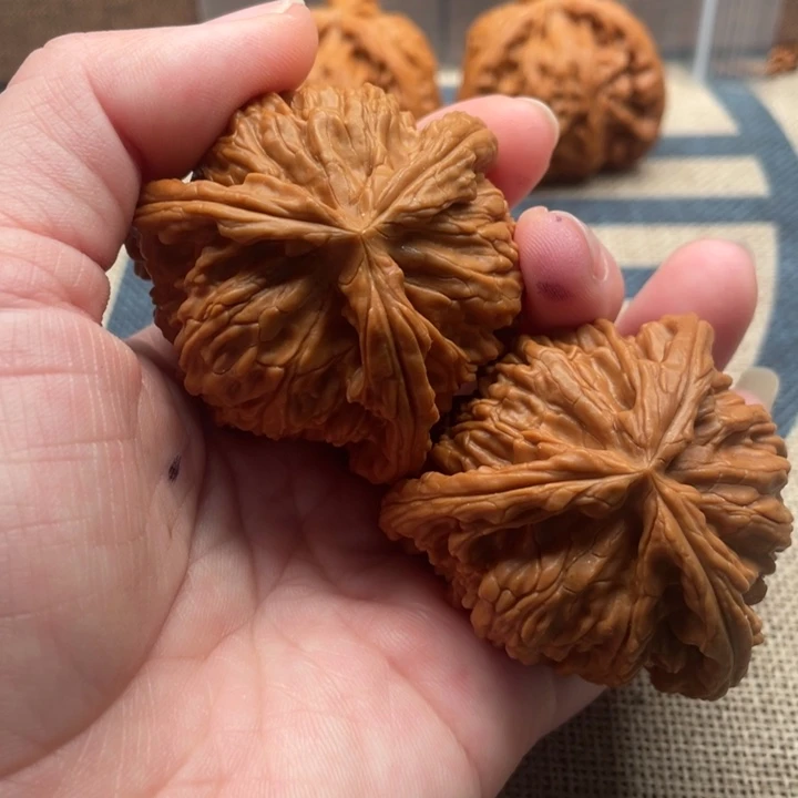 熊***熊核桃白狮子47核桃