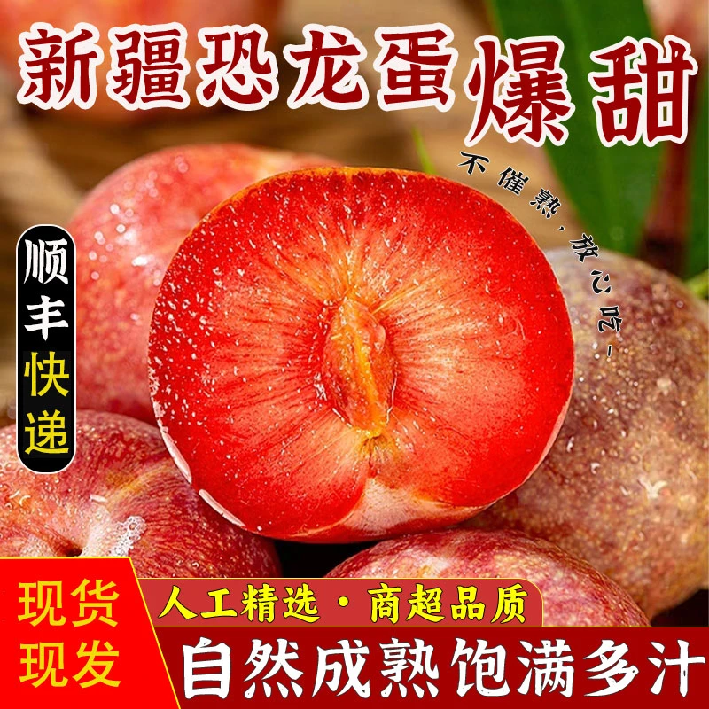 【顺丰包邮】新疆恐龙蛋李子当季新鲜水果脆甜多汁2-5斤礼盒装