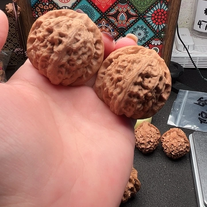 文玩核桃吊坠金麒麟42
