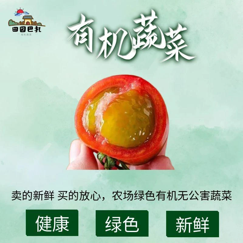 【有机时令】草莓西红柿现摘先发