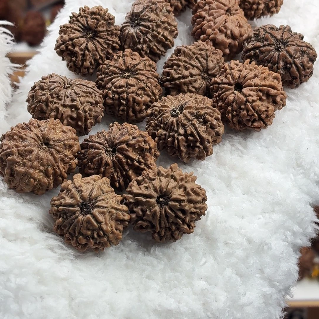 手串金刚菩提收藏版稀有精品10瓣小尺寸