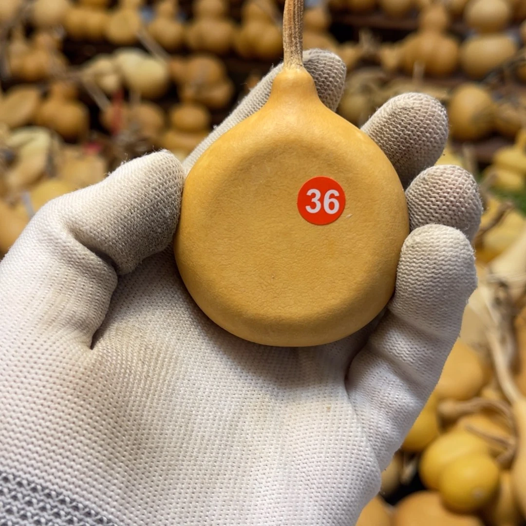 闪拍葫芦链接-36号品