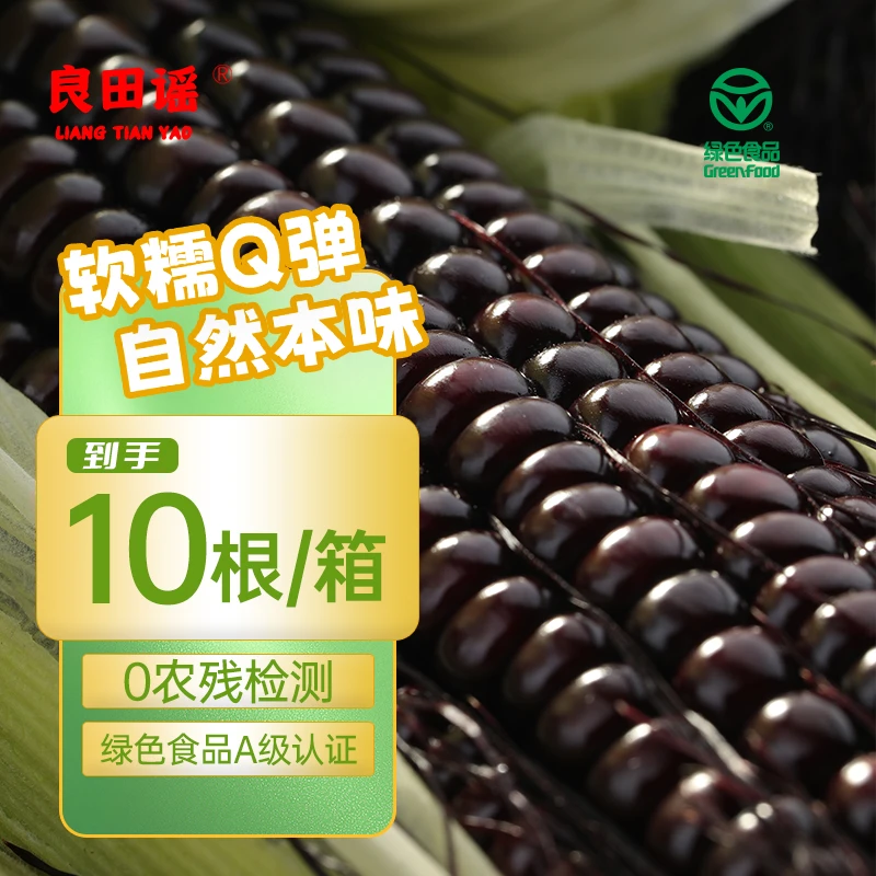 【试吃两根】良田谣25头茬东北黑糯玉米棒10根整箱6.5-7.5斤铝箔装