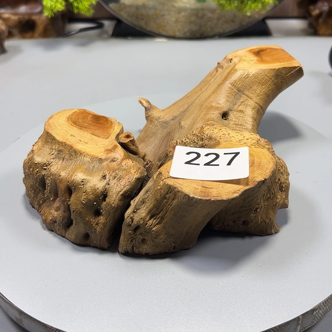 大果紫檀（缅甸花梨）喜*