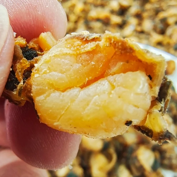 【马鲛仔海产】本港淡晒扇贝肉干500g顺丰包邮茂名博贺港