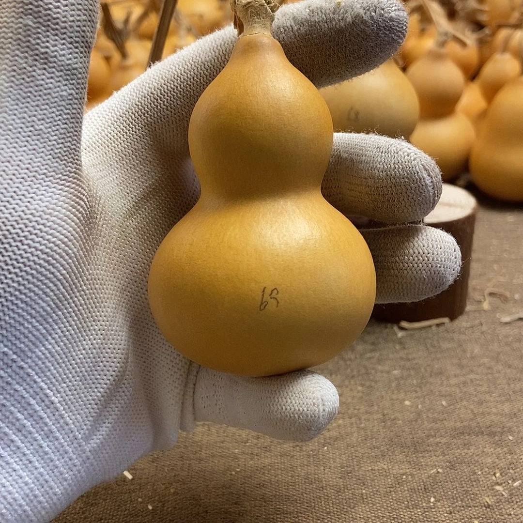 文玩葫芦 完美主义者 慎拍69