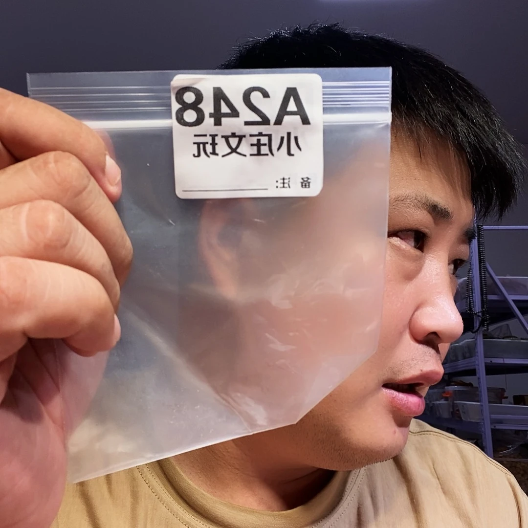 【闪购商品】张*江黑檀木248