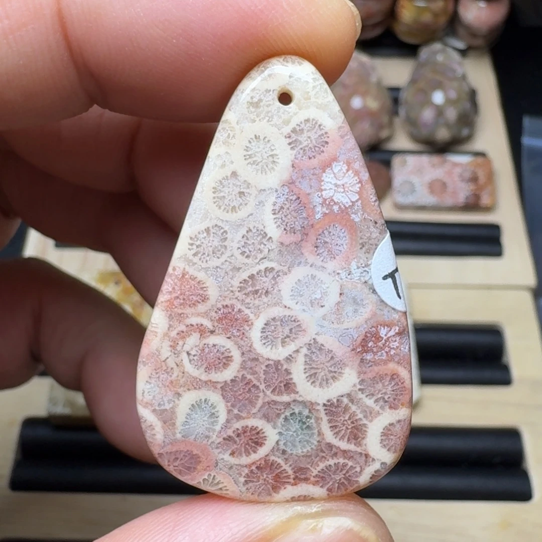 硅化珊瑚（珊瑚玉）未镶嵌纯天然色有机玉石保真色瑕疵特价不退换