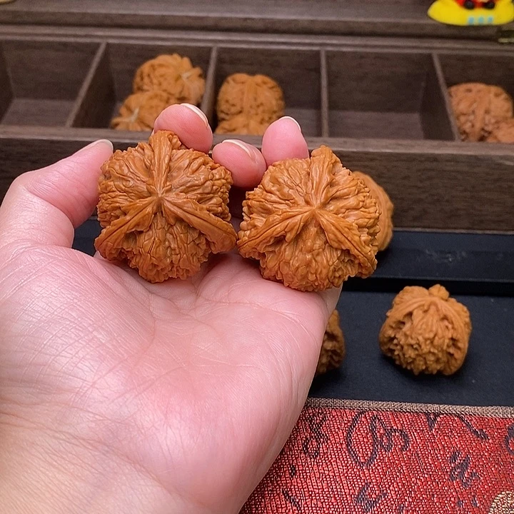 星***辰把件文玩核桃白奔