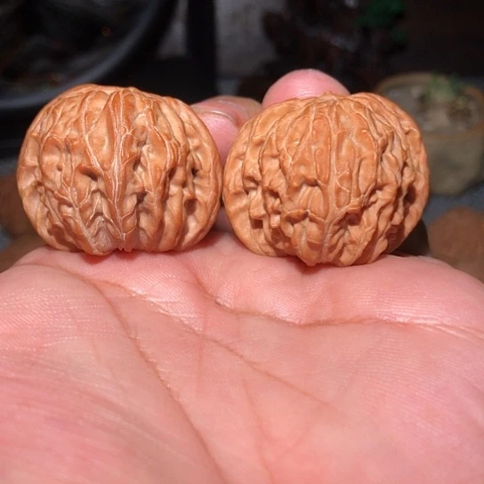 木38全品精致山尖磨