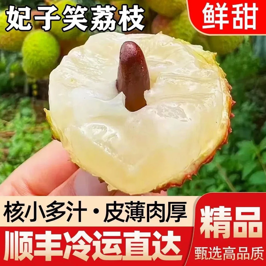 【SG专属】妃子笑荔枝老树肉厚核小清甜新鲜水果整箱包邮顺丰