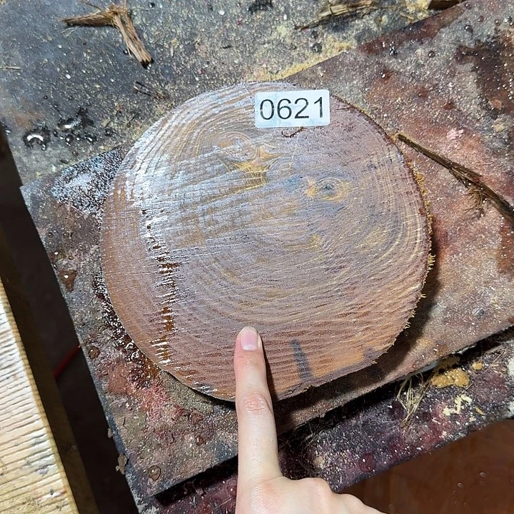 大果紫檀（缅甸花梨）绿檀621