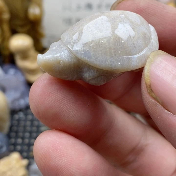 颈饰未镶嵌硅化珊瑚（珊瑚玉）