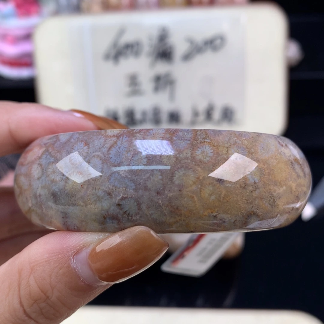 硅化珊瑚（珊瑚玉）未镶嵌颈饰五折手镯57.9口（49号）