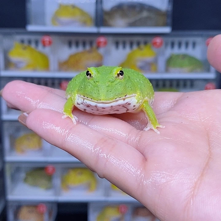 特价秒杀现货特价