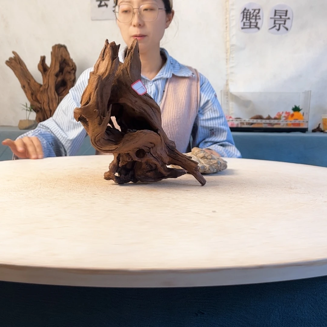 沉木造景寄居蟹景