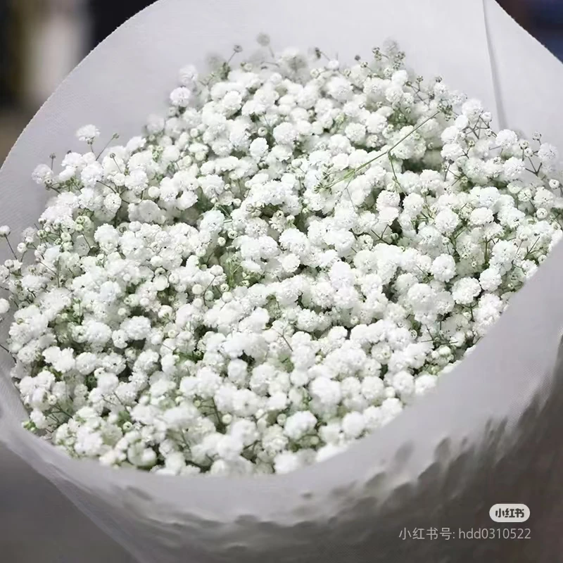 【白色满天星一把】顺丰包邮到家