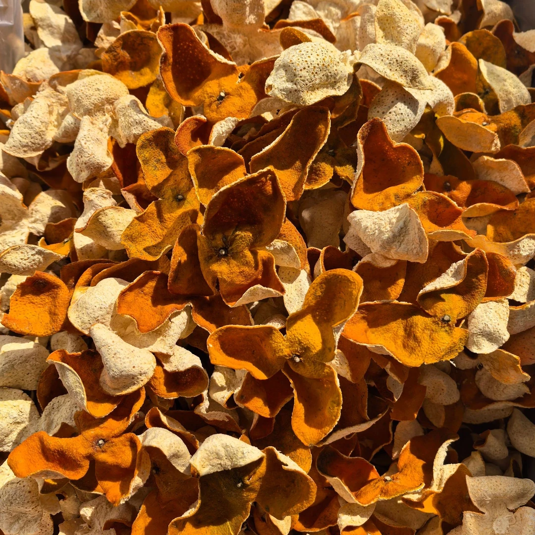 新会天马8年老树圈枝冬后皮口感淳滑香甜纯自然生晒