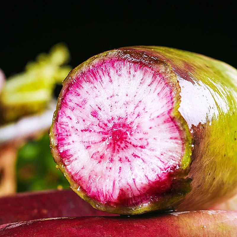 下单就送【青沃农场】冰淇淋水果萝卜（脆甜多汁）拍3斤发5斤/拍7斤发9斤 新鲜现拔明天到