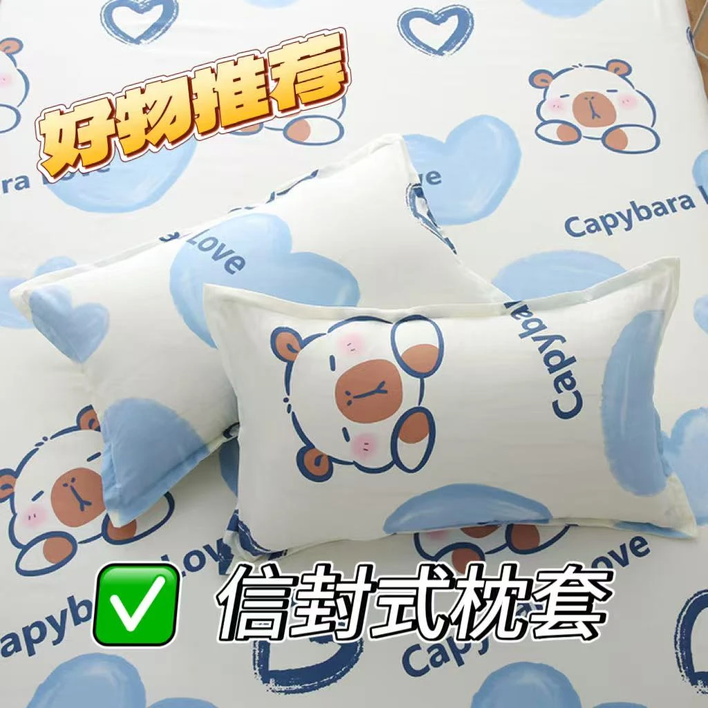 枕套一个单人亲肤四季通用一对套装情侣磨毛学生宿舍通用套枕家用